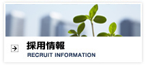 採用情報