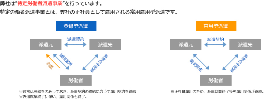 登録型派遣 / 常用型派遣